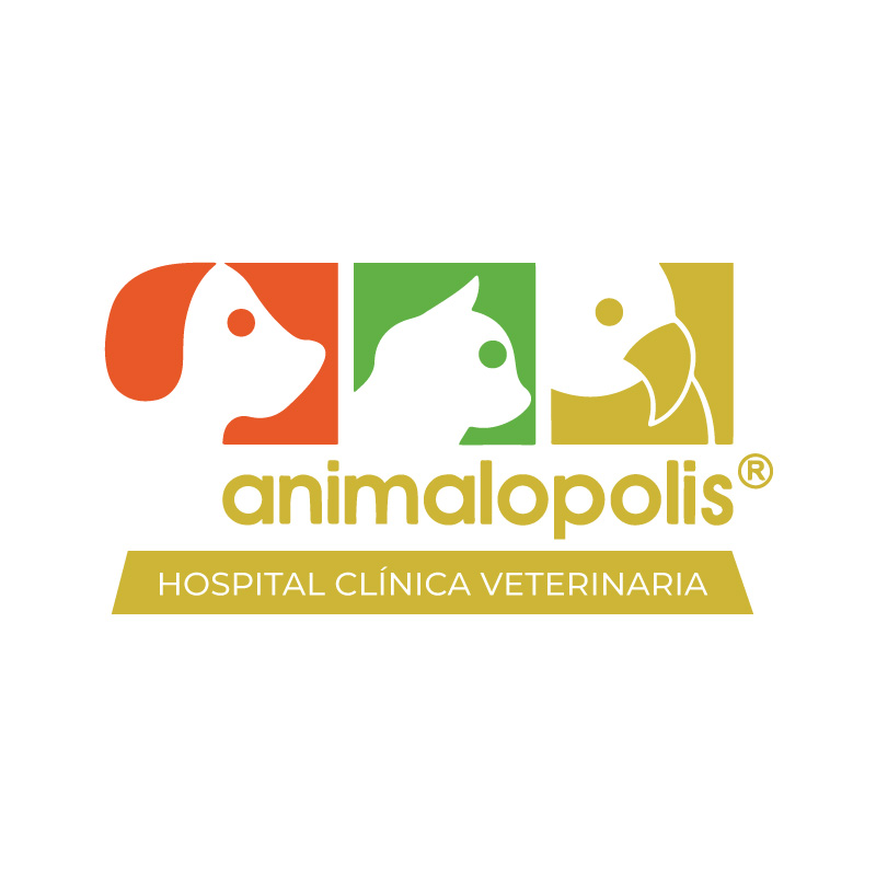 Urdesa (Guayaquil), Ciudad Celeste (Samborondón)