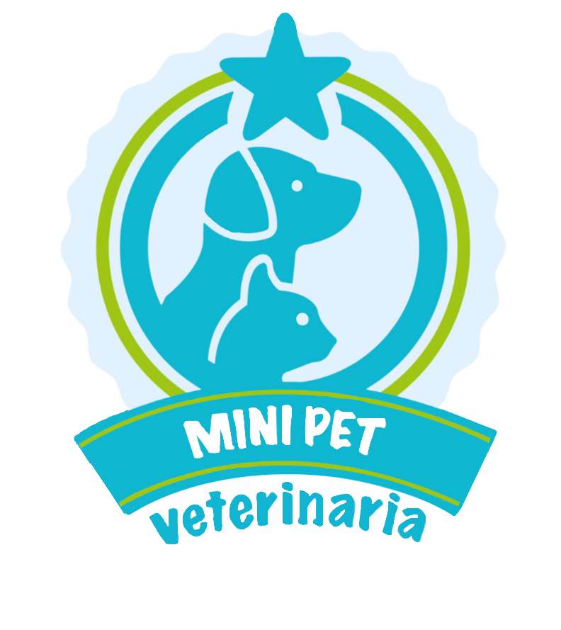 C. C. Rio Plaza (Samborondón)